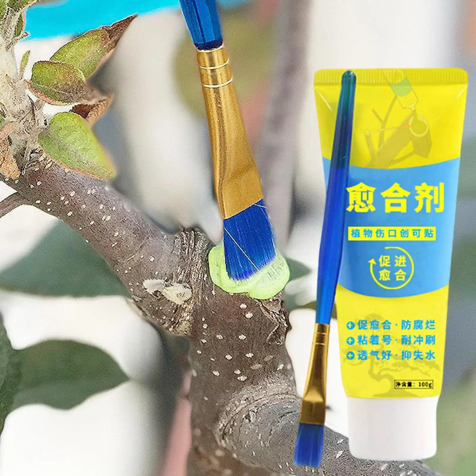 Pomata Sigillante per Tagli e  - Bonsai Garden Tree recensione e prezzo