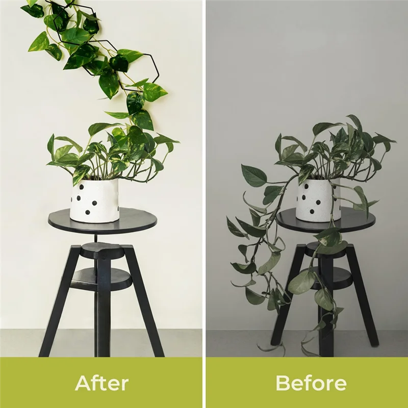 

Reliable Chain Trellis For Climbing Plants Indoor & Outdoor House Plant Accessories For Monstera Pothos Ivy, And More Garden Wal