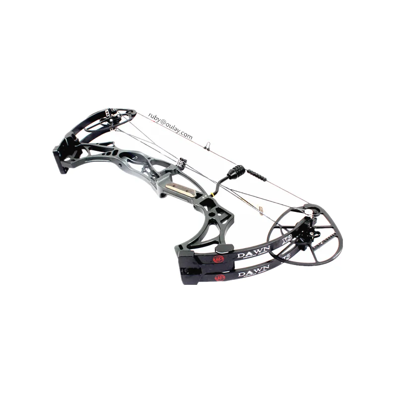 Compound Bow 70lbs, CNC Competition High Speed, Hunting Pulley Model with Three Let Off for Outdoor Use