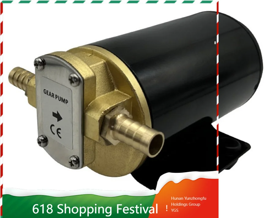 FP-12 Small DC Self Priming Gear Pump Portable Fuel Suction Pump For Oil Dispensing Use