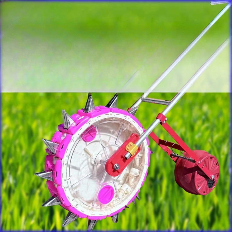 جديد الخضار الجسيمات الصغيرة البذر قطعة أثرية الملفوف الجزرة الكزبرة الاغتصاب الممر السبانخ #1