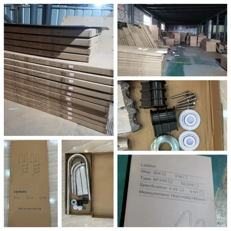 China 2/3/4/5 Stairs Pool Ladder Swimming Pool Ladder Swimming Pool Ladders for Sale