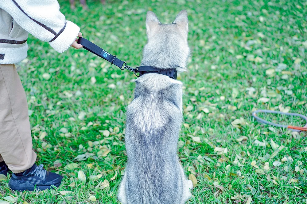 Quick Release Militär Verkehr Große Heavy Duty Nylon Gehen Starke Hund Griff Taktische Ausbildung Blei Strap Tsug Halsband Se – Detail 14