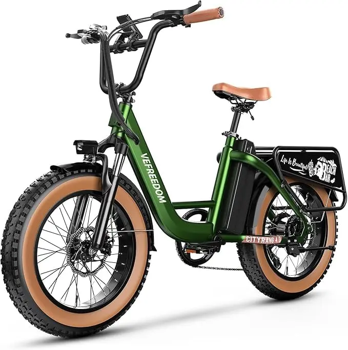 

1500W 48V 20Ah Electric Bike, 20x4.0 Fat Tire 7-Speed Step-Thru Mountain Bicycle 70+ Miles Range Commuting E-Bike, Customized