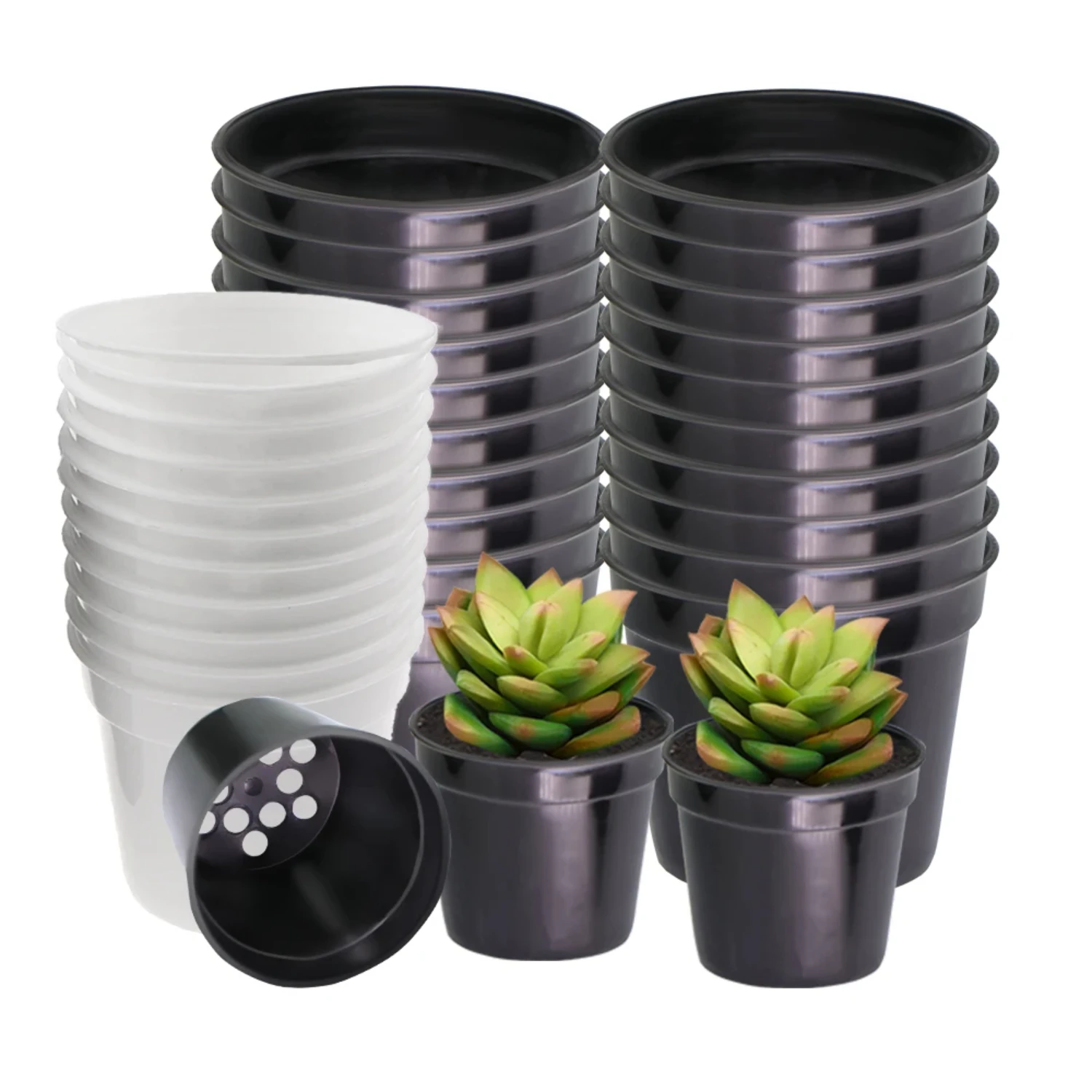 

10PCS Black/White Mini Plastic Round FlowerPot Garden Succulent Plants Cultivation Planter Bottom with Hole Nursery Cup