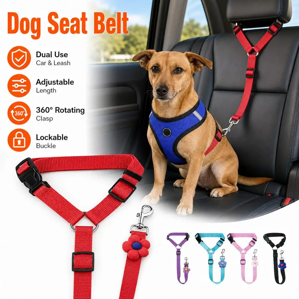 Car Seat Belts, Dog and Cat Car Towing Ropes, and Retractable Cat and Dog Towing Ropes in The Back Seat Make Your Dog Safer