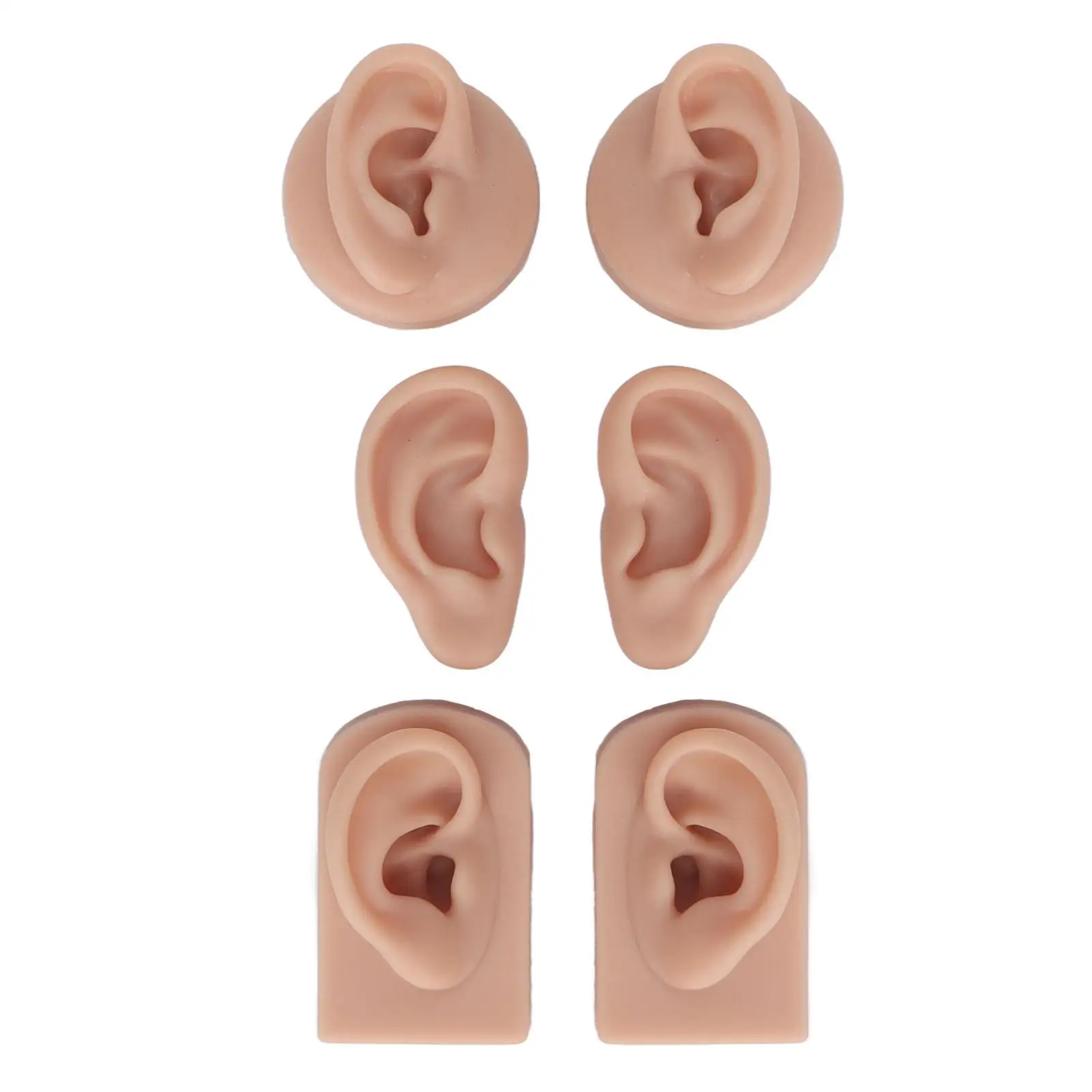 

Flexible Reusable Silicone Ear Model 3 Pairs High Simulation Realistic for display Prop for Educational Use