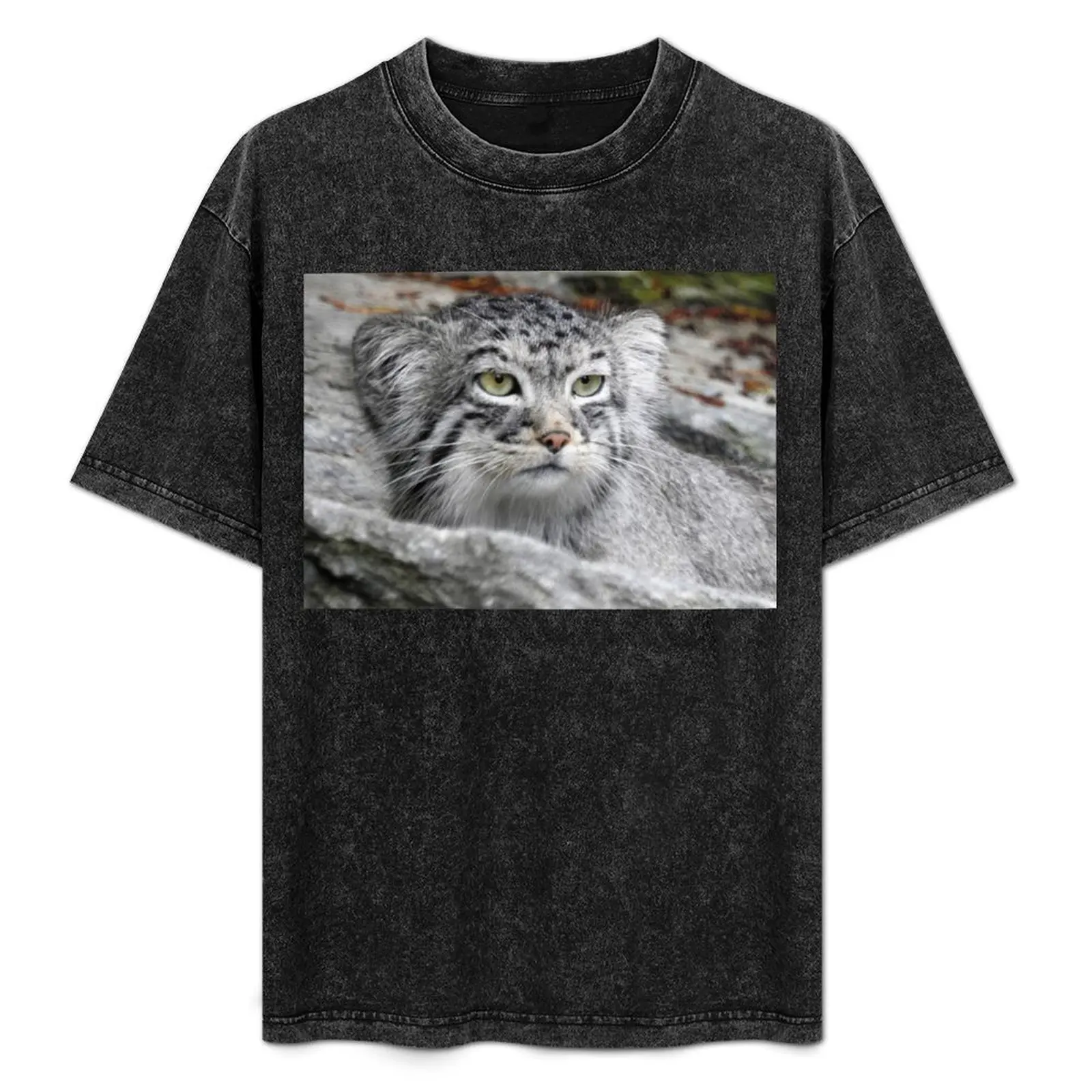

Pallas's Cat T-Shirt Basic Solid Color Casual Tee Shirt