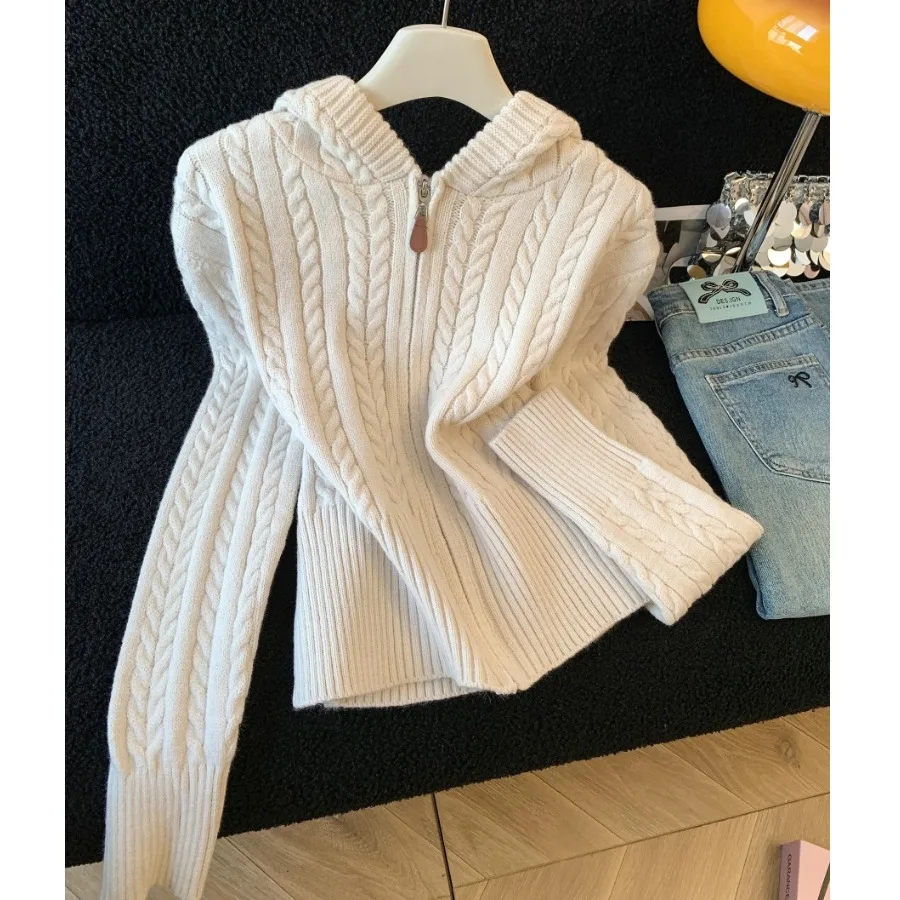 

Soft Cozy Knitted Zipper Cardigan Women's Winter New Lazy Style Sweatshirt Outerwear Straight Cut Long Sleeve Korean Version