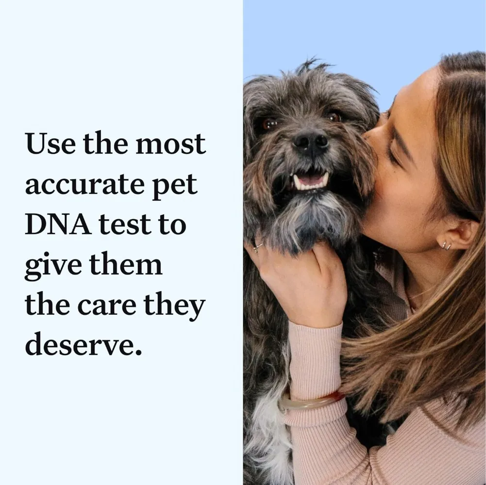 Panel Essential Dog DNA Kit Most Accurate Test for 365+ Breeds 30 Genetic Health Conditions 50+ Traits Relatives Ancestry 2 Pack