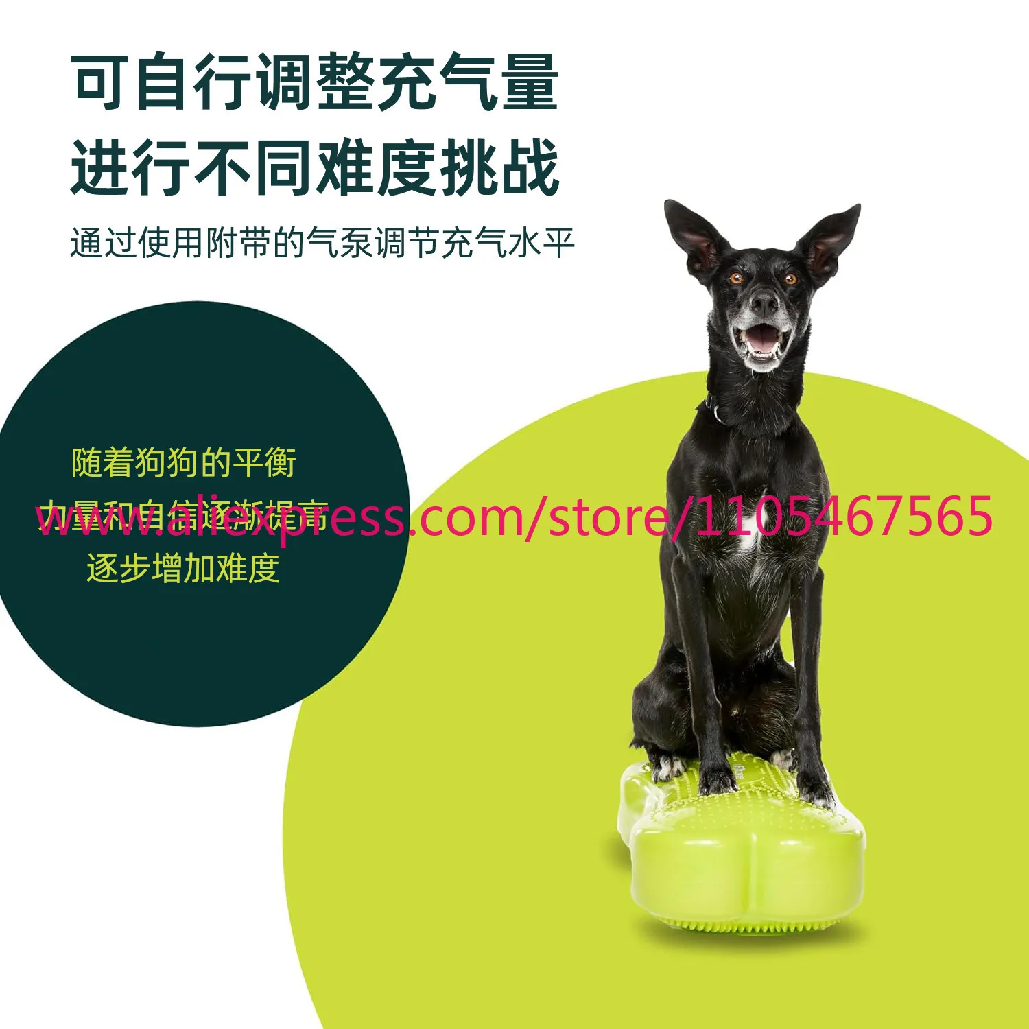 1PCS Dog Rehabilitation Mat Dog Fitness Platform Dog Balance Training Platform Patella Recovery Postoperative Reconstruction