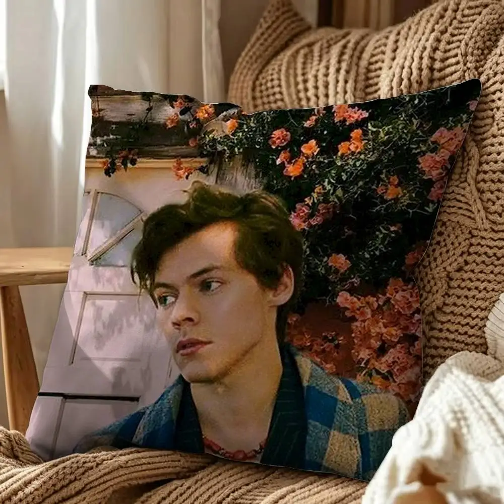Famous Pop Singer Harry Styles Cartoon Art Square Double-Sided Printed Pillow Case Sofa Cushion Cover Bedroom Bedside Decor