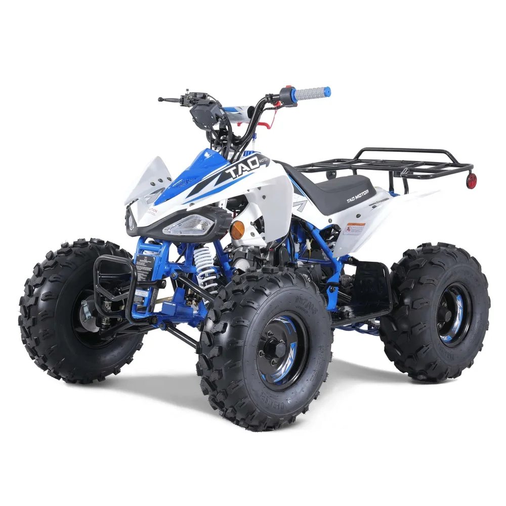 2023 New Motorbike Buggy ATV Quad 110cc 125cc ATV