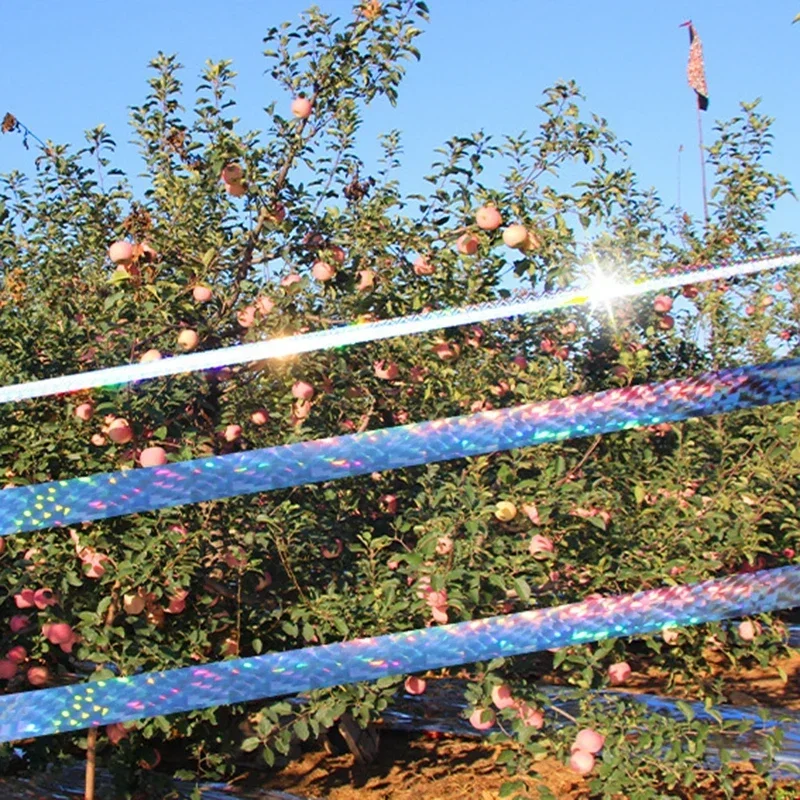 50/80 متر مكافحة الطيور حمامة طارد الشريط الطيور تخويف الشريط وامض عاكس الشريط على الوجهين الطيور مبيد الحشرات مكافحة الآفات الشريط