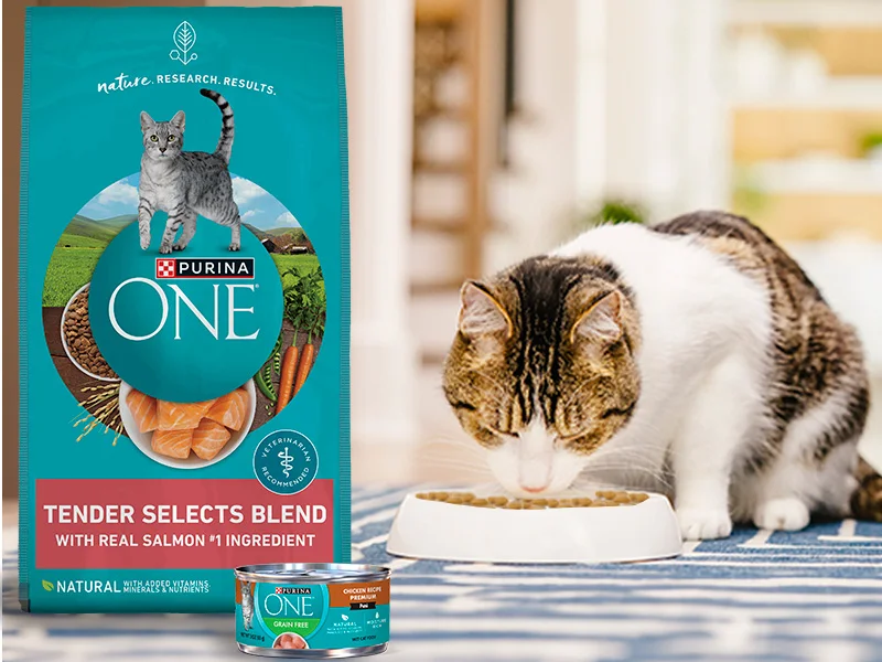 ONE Tender Selects Blend image with cat eating product