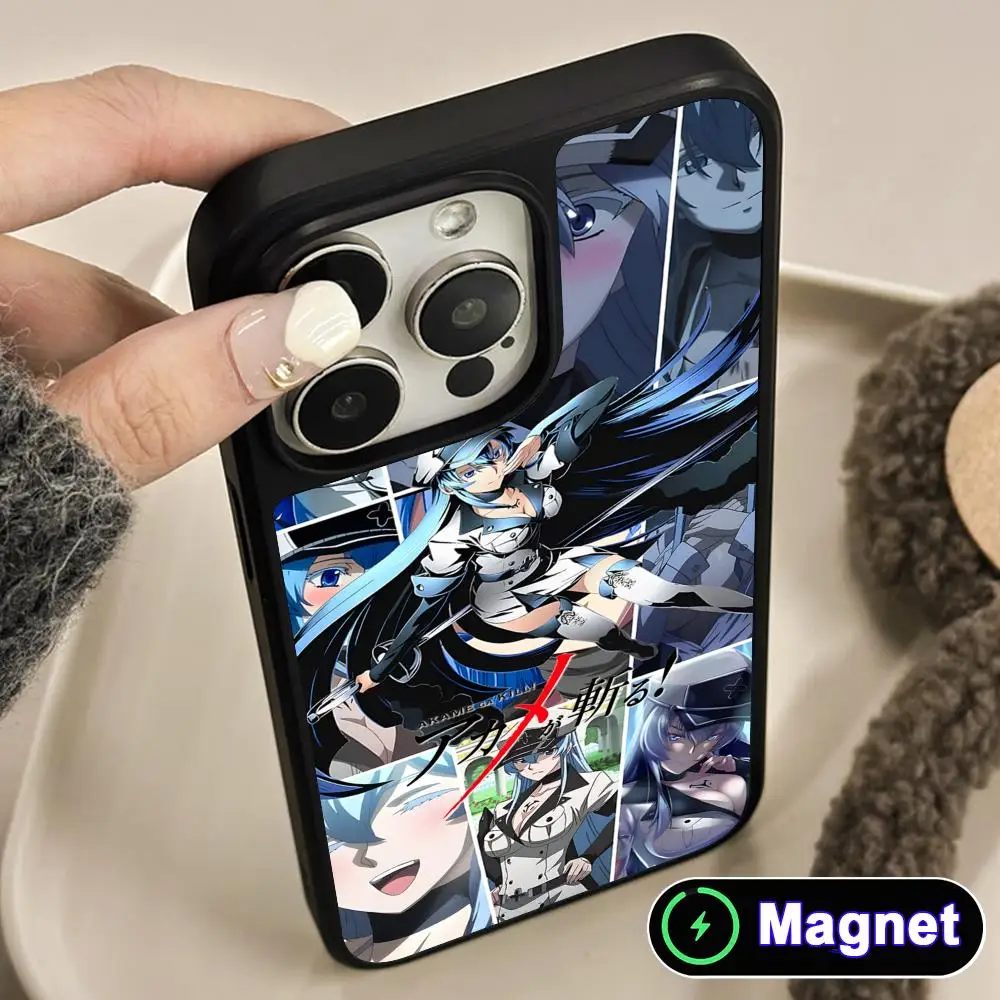 

Akame Ga Kill Esdeath Phone Case for iPhone 17 16 15 14 13 12 11 Air Pro Max Plus Matte Surface Magsafe Cover