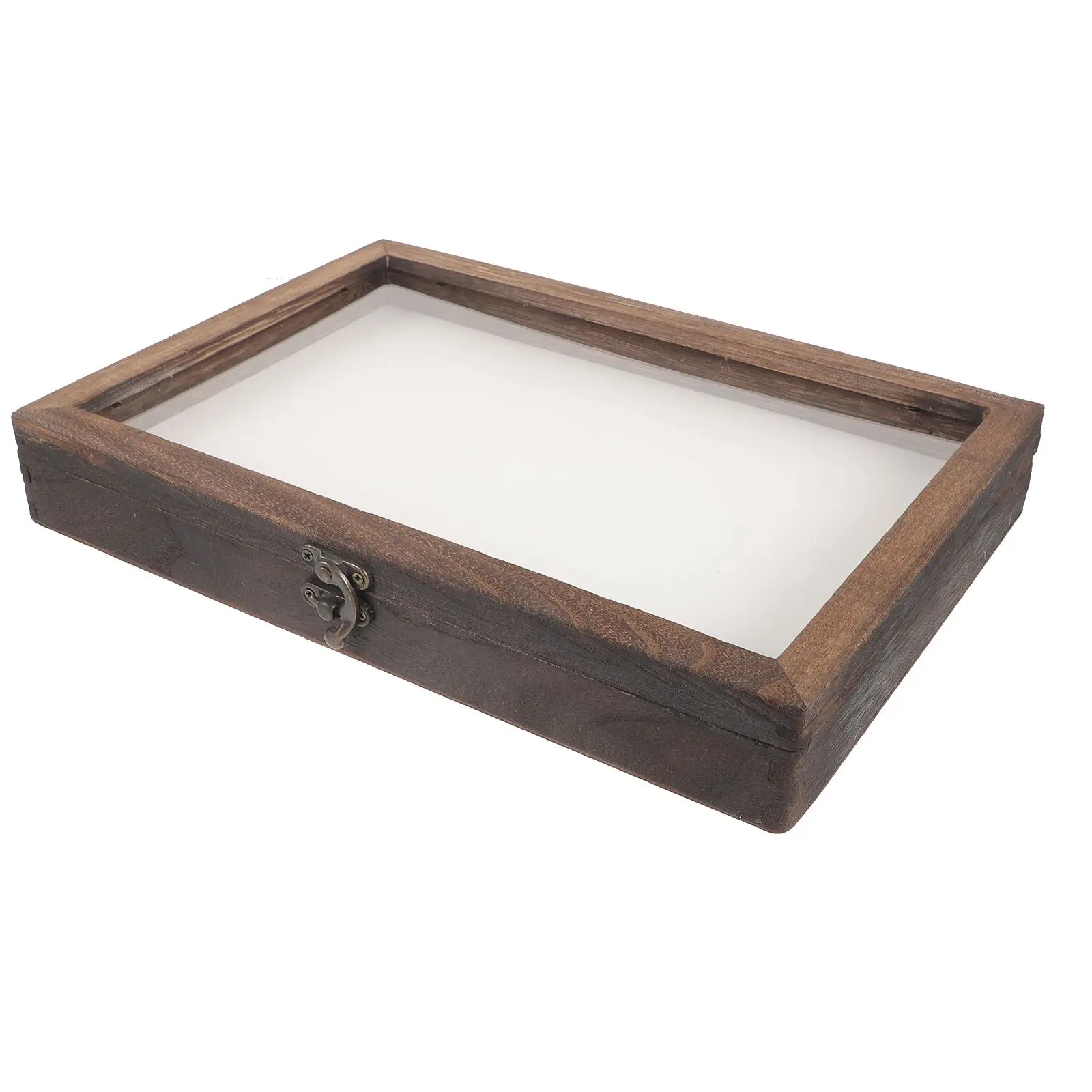 Raupen Insekten Display Box Fall Insekten Nadel Pad Kaffee Flanell Entomologie Kind