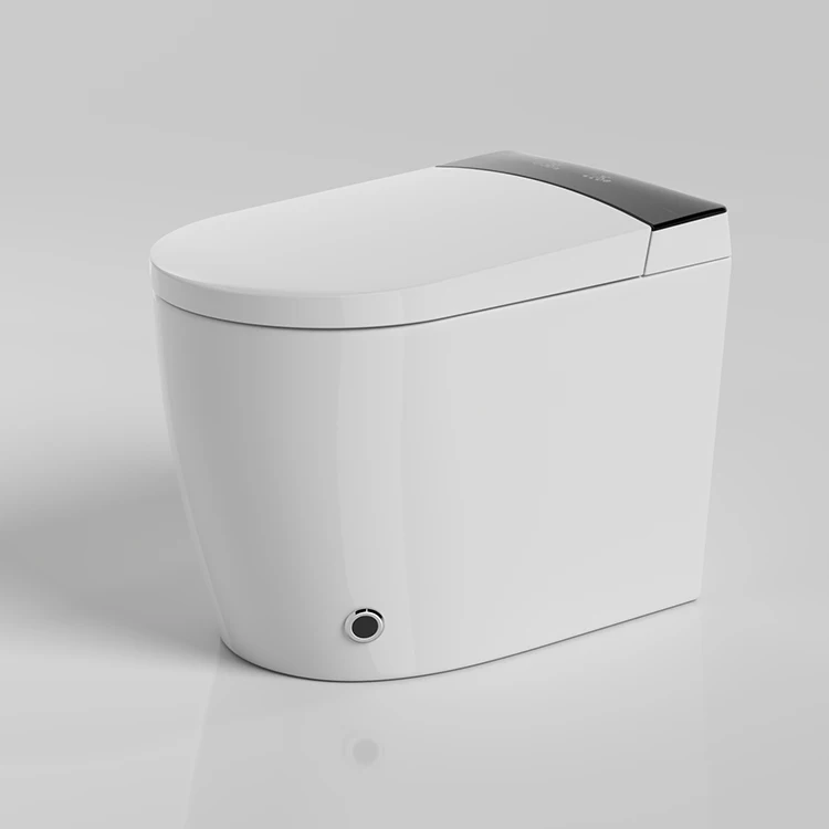 

Japanese Electronic Automatic One Piece Closestool Watermark Smart Intelligent Wc