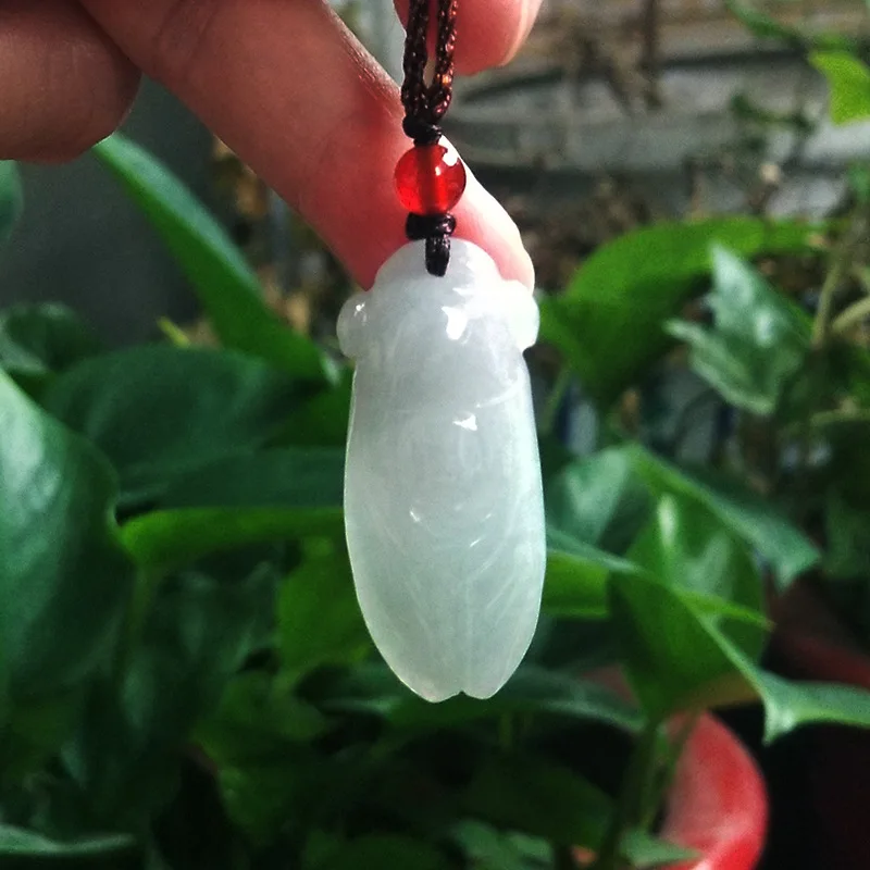 

Natural Myanmar jadeite cicada pendant simple pendant temperament jewellery fashion for women men lucky