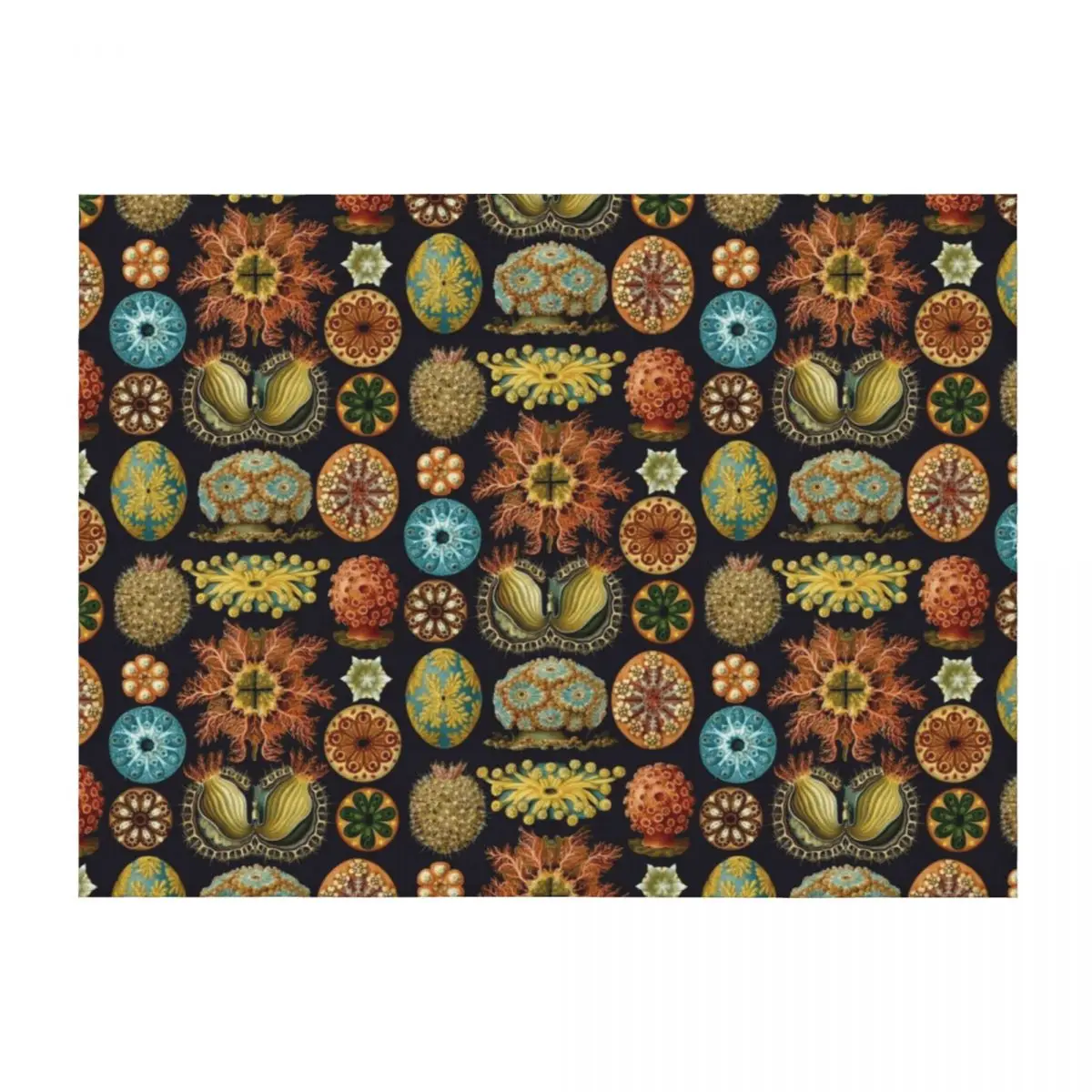 

Ernst Haeckel Ascidiae Sea Squirts Throw Blanket Beach Flannel For Decorative Sofa christmas gifts Blankets