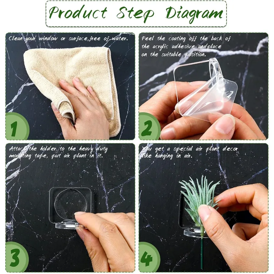 12 قطعة من حامل نباتات الهواء الأكريليك مع شريط تثبيت لتعليق نباتات الهواء على شاشة عرض زجاجية للمنزل #6