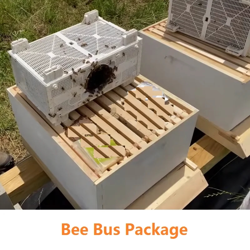 حزمة حافلة النحل البلاستيكية حزمة نحل العسل قفص قفص نقل النحل التهوية لتخزين ملكة البريد معدات تربية النحل #1