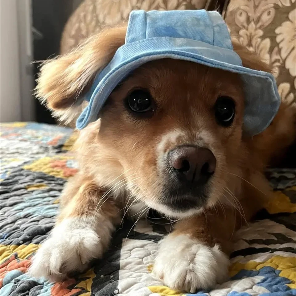 Summer Cat Dog Sunshade Hats Breathable Adjustable Pet Sun Hat for