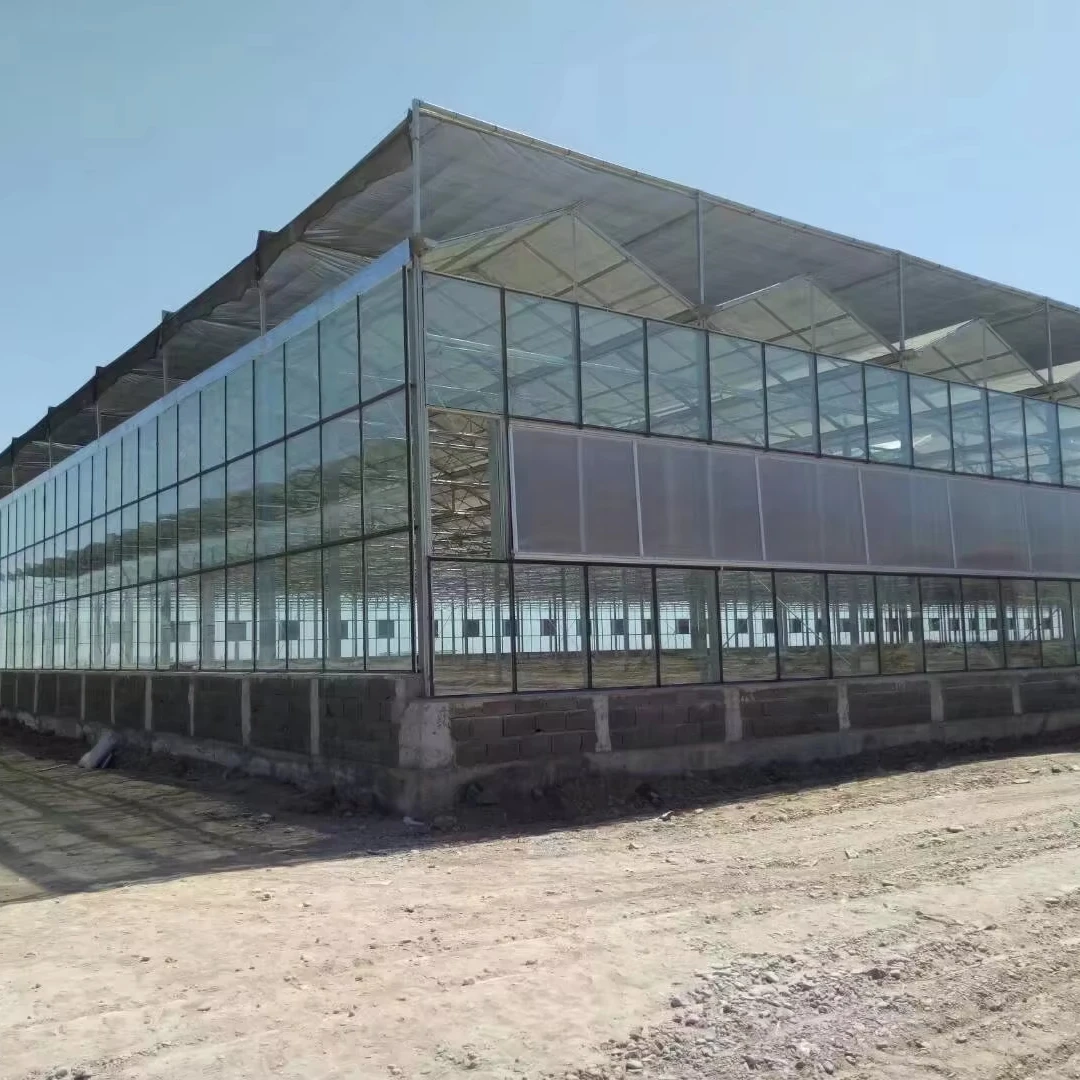 

Customized greenhouseAgricultural Commercial Venlo Glass Greenhouse for Fruit Tomato Cucumber Pepper Vegetables Growing with