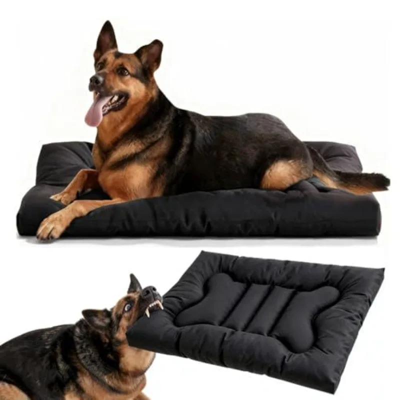 #57 Latest Orthopaedic Dog Beds Offers