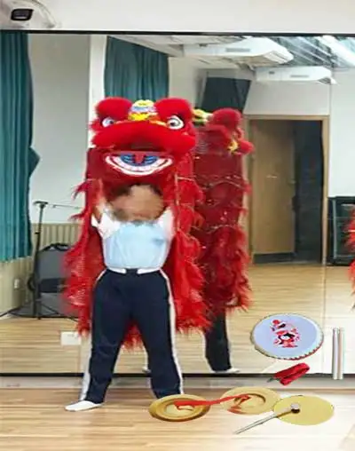 child-5-9-age-14-inch-lion-dance-costume-drum-gong-props-toys-children-wzplzj-party-sport-outdoor-birthday-gift-game-event-china