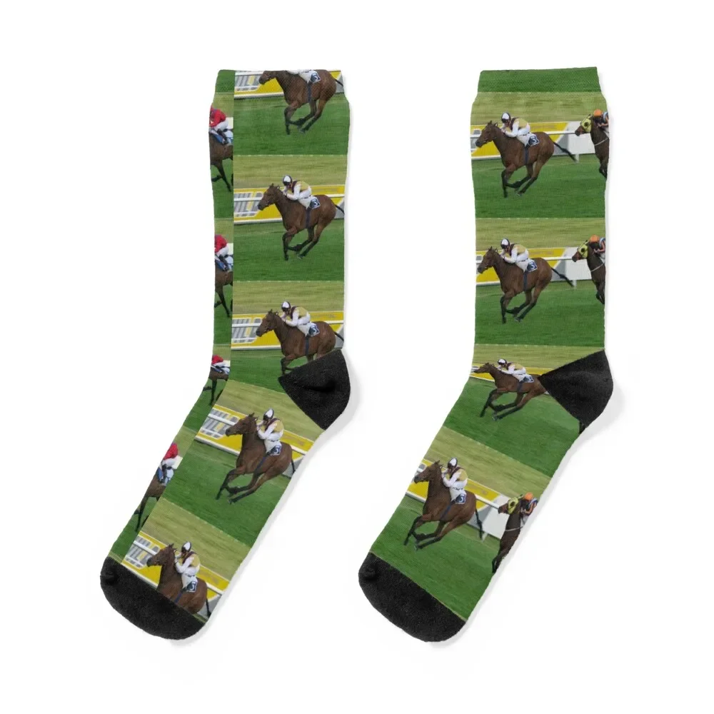 Race Horses Socks bright garter luxe Socks For Girls Men's