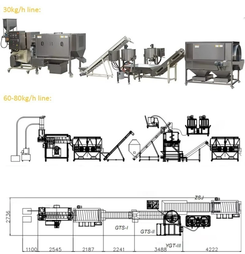 200kg/h Caramelized Air Popped Popcorn Machine Automatic Continuous Flavored Coater Equipment Custom