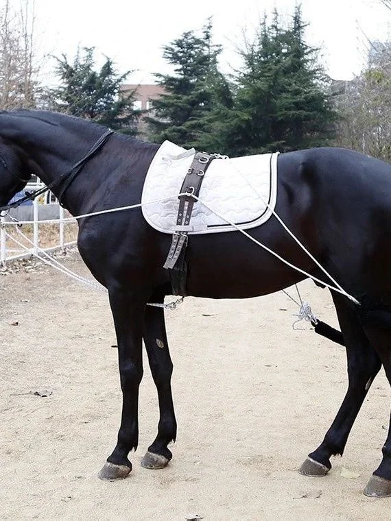 adjustable-training-backpack-belly-strap-equestrian-equipment-balance-supplies-girth-training-gear-horseback