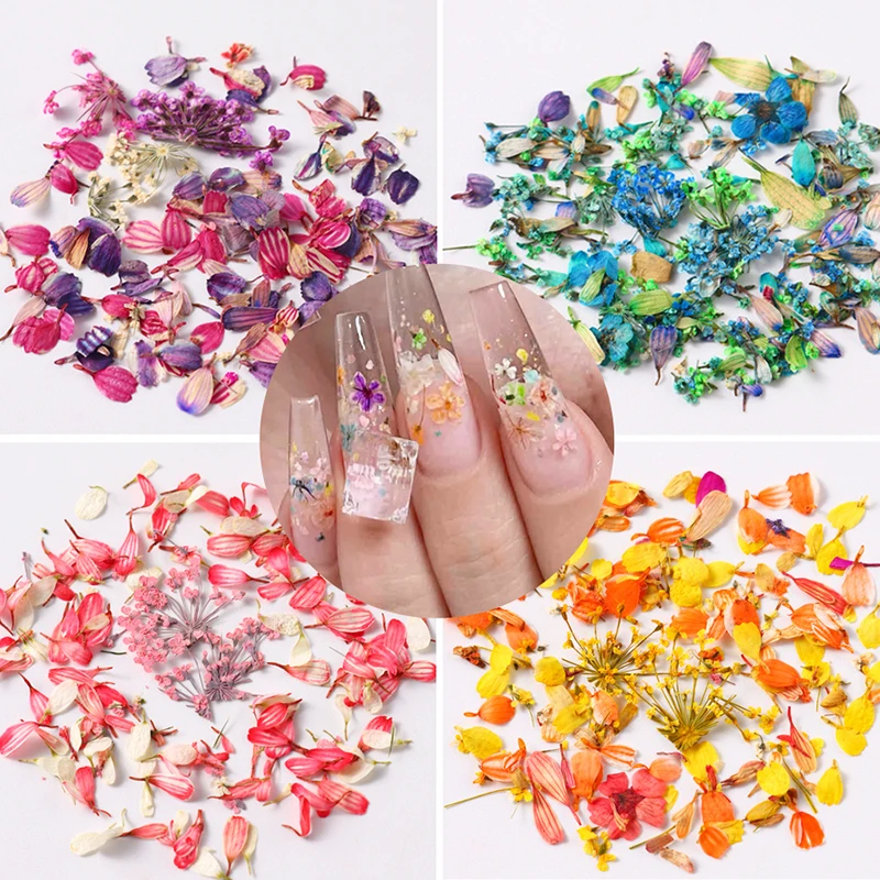 1 Doos Nail Art Bloem Decoratie Delicate Gedroogde Bloem Nail Art Decoraties Prachtige Nail Art Schoonheid Voor Bedels Accessoires