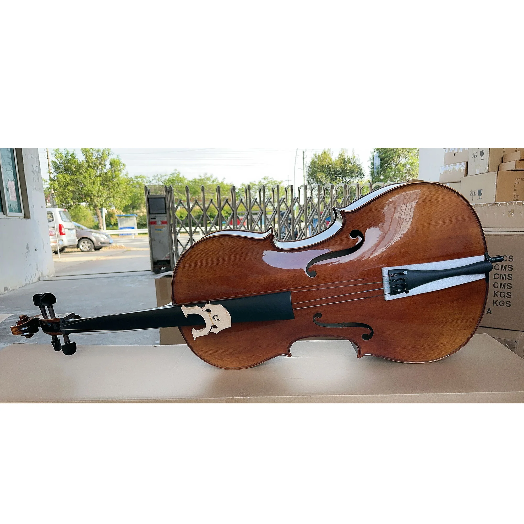 

Professional European High Grade Solidwood Spruce Flamed Handmade Cello