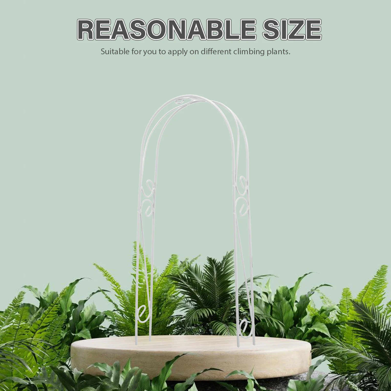 

Iron Plant Support Garden Climbing Poles Indoor Outdoor Durable Metal Moss Pole For Houseplants Money Plant Support