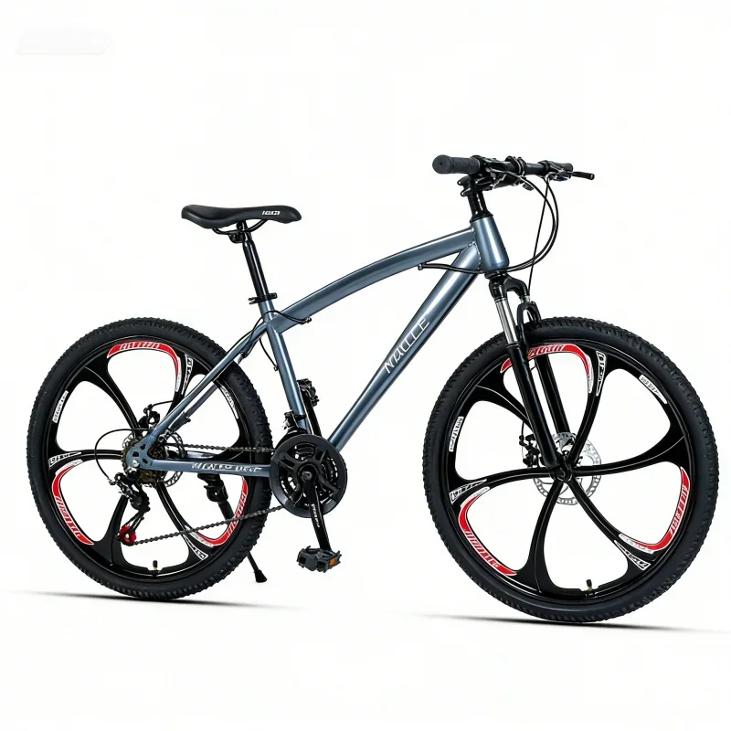 Grijs 24-inch Zes-Mes Wiel Mountainbike Outdoor Variabele Snelheid Off-Road Student Fiets Een stuk Dropshipping