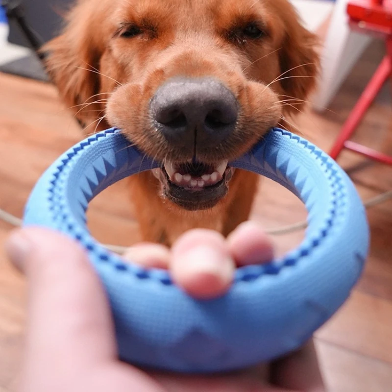 1 Stück Hundespielzeug Interaktiver Ring Ziehring für Mittelgroße und Große Hunde Schaumstoff Zahnreinigung Kauspielzeug Entspannungsprodukt für Haustiere