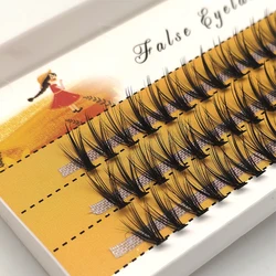 20D/30D Mink Eyelashes 60 bundles/box eyelashes extensions 3D Russia Individual Eyelash Cluster Makeup Tools Lashes wholesale