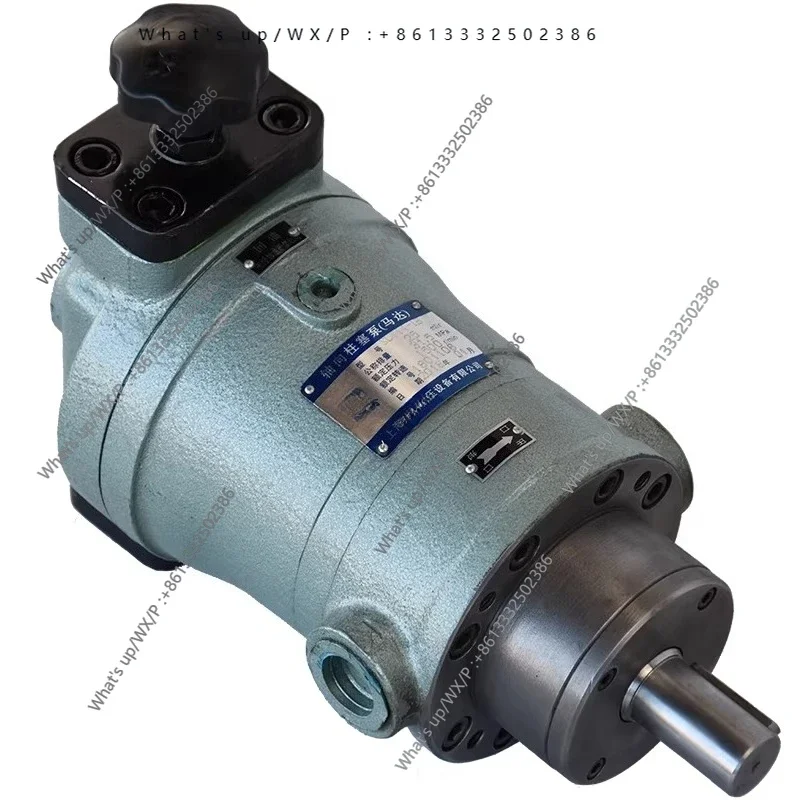 10SCY 25SCY 40SCY 63SCY 80SCY 100SCY 160SCY14-1B Plunger Pump