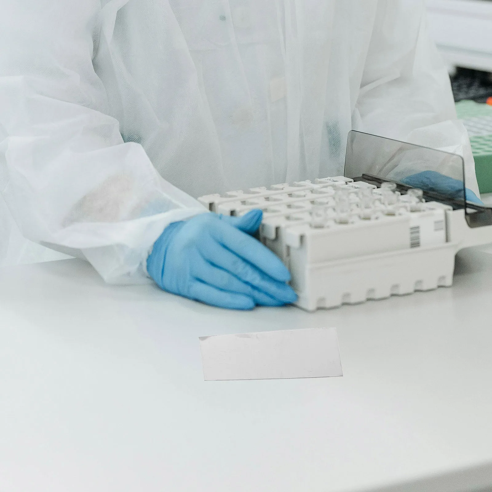 Feuilles d'expérimentation de fruits, 10 pièces, matériel de projet scientifique, fournitures d'expérimentation d'enseignement pour l'apprentissage