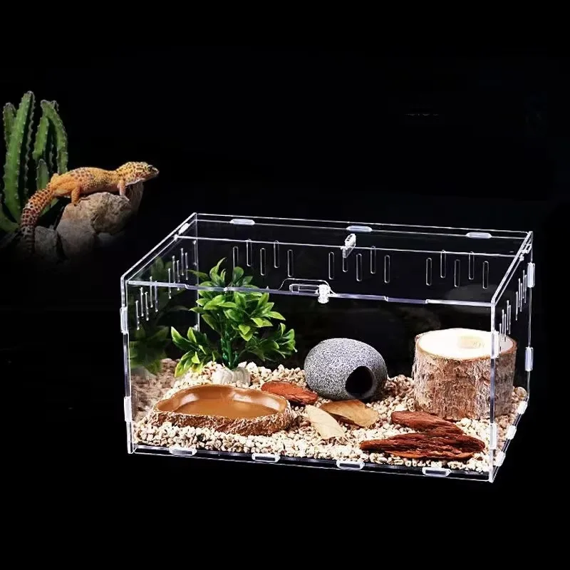 Reptile Accessories Acrylic Reptiles Breeding Box Transparent Terrarium Habitat for Spider Lizard Turtle Scorpion Feeding Cage