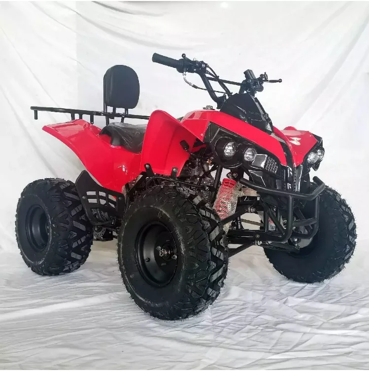 Customizable 110CC 125CC 150CC Quad Bike Chain Drive with Net Lamps 4 Wheels All Terrain Vehicles Off-Road ATV