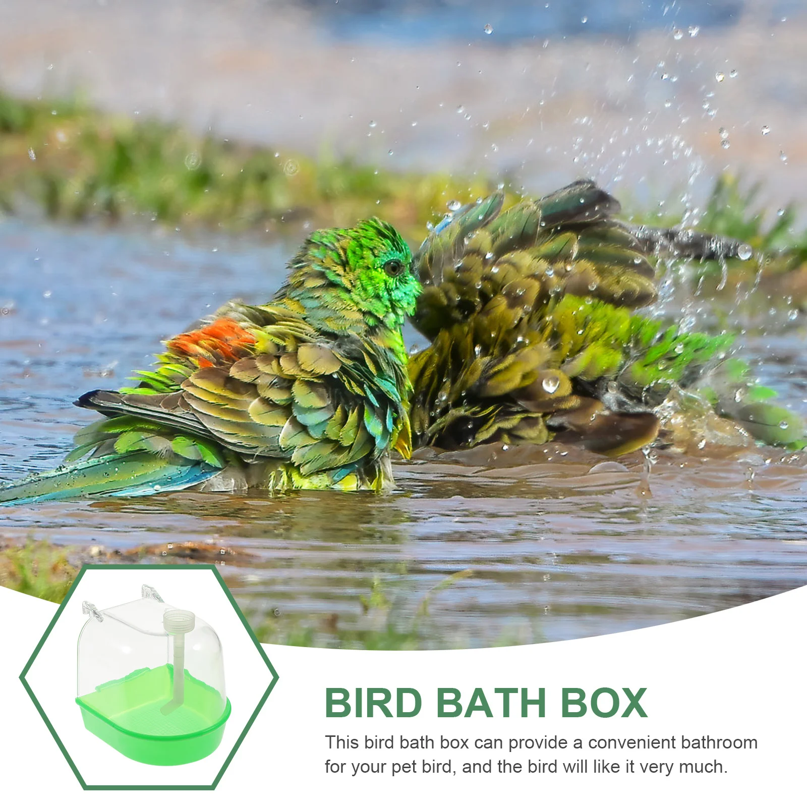 

Bird Bath Cage Covered for Finches Canaries Lovebirds Clean Fun Promote Healthy Bathing Habits Bird Bath Cage