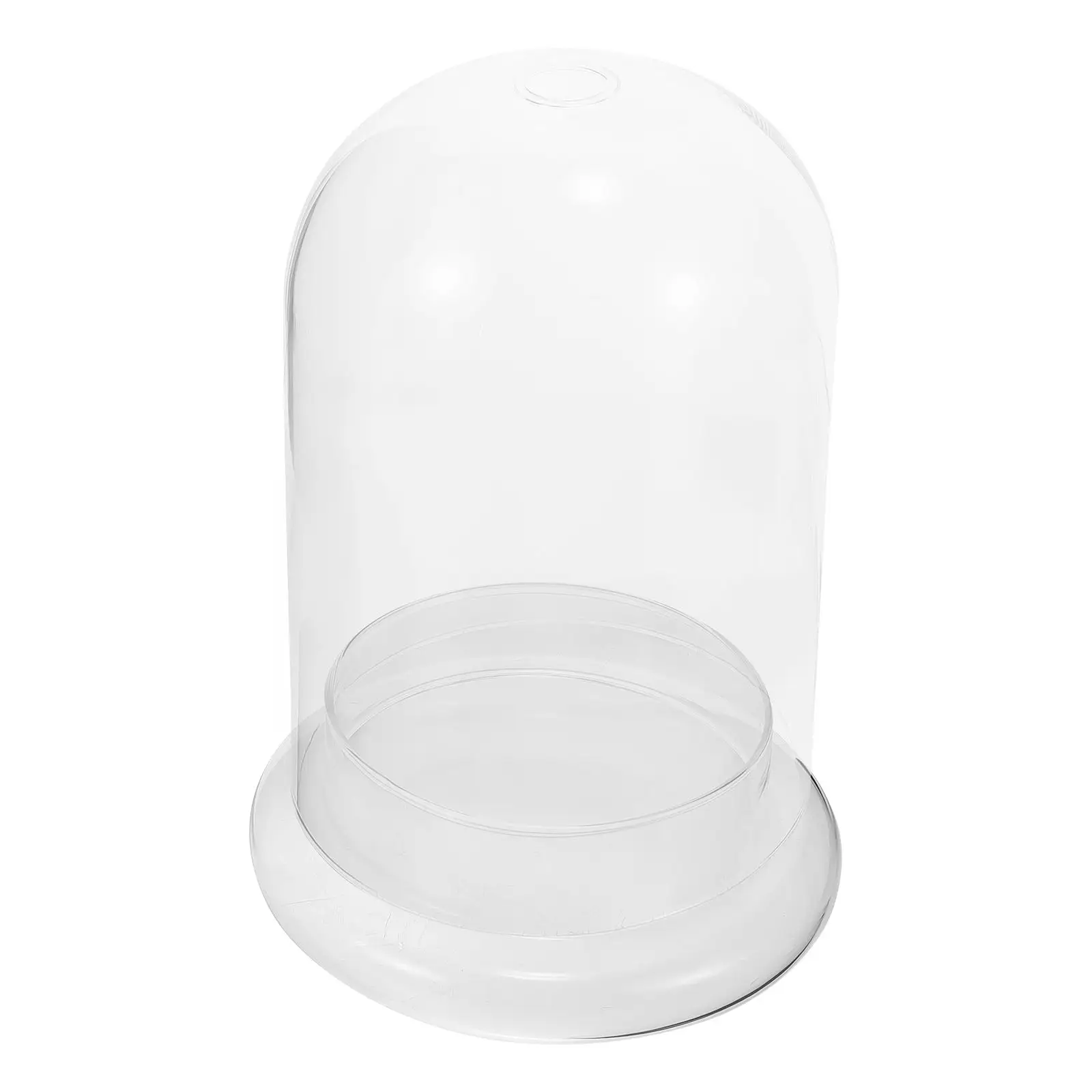 

Moss Eco Bottle Glass Ecological Transparent Micro Landscape Diy Bottle Clear Display Cloche Dome Containers For Vases Home