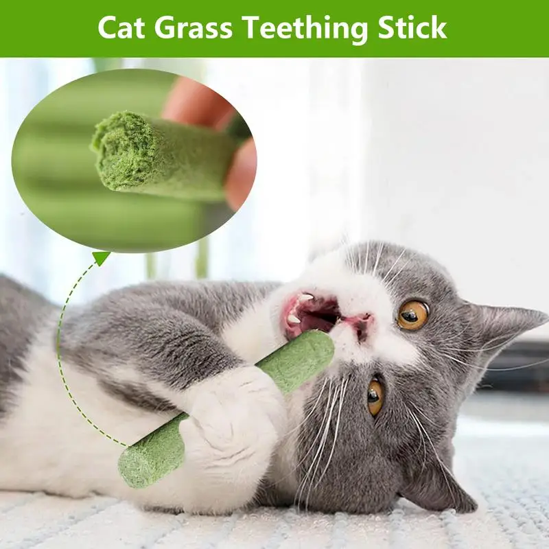 6Pcs/set Natural Grass Molar Rod Natural Pet Snacks Hairball Removal Cat Teeth Cleaning Stick For Cats Promote