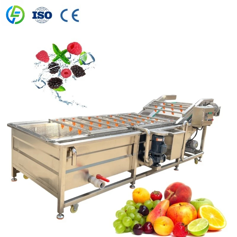 

Customized Commercial Industrial Fruit Washer Leaf Vegetable Bubble Washing Machine