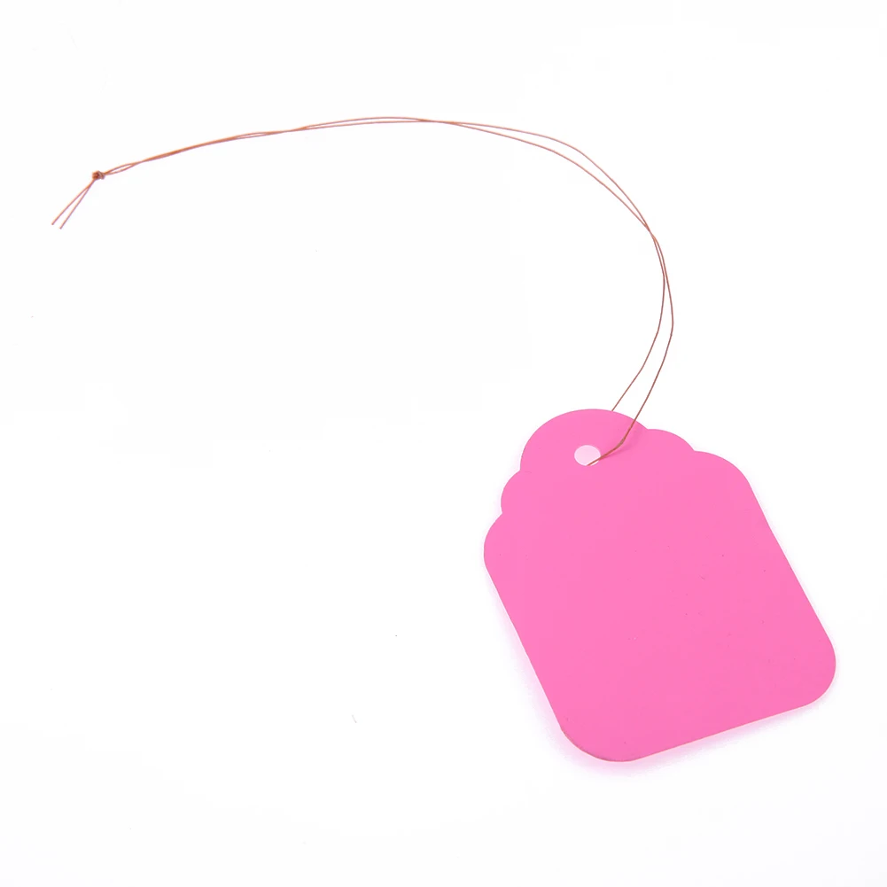 

100pcs Succulent Hanging Tags with String Seedlings Hanging Labels Writable Waterproof Reusable Gardening Accessories