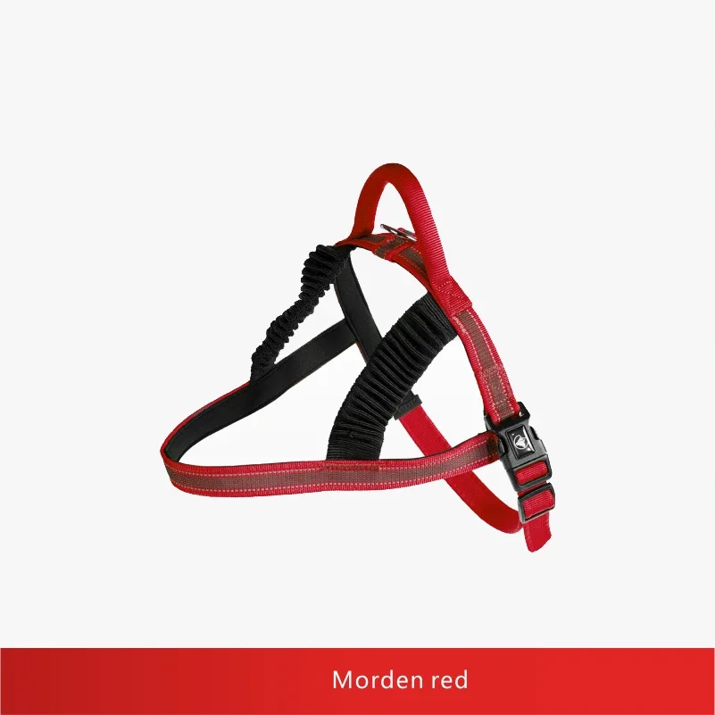 Latest Nylon Dog Collars and Leashes Training Collar Leash OEM