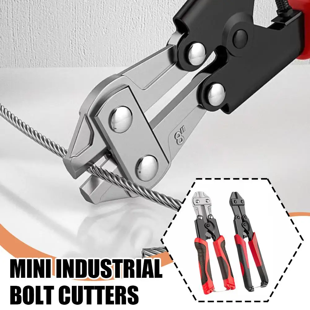 yZ[z~jHƗpO[h̍|_{gJb^[͂ȍdxȗ̓C[͂݃CIbV iIon `F[y`